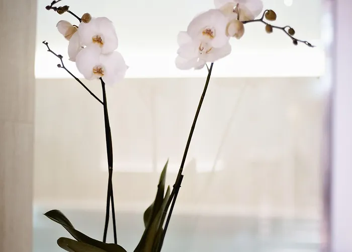 Hotel Sans Souci,